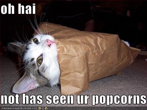 oh hai  not has seen ur popcorns