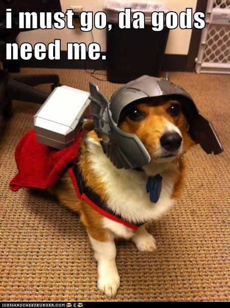 I Has A Hotdog: The Mighty Thorgi