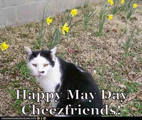 Happy May Day Cheezfriends!