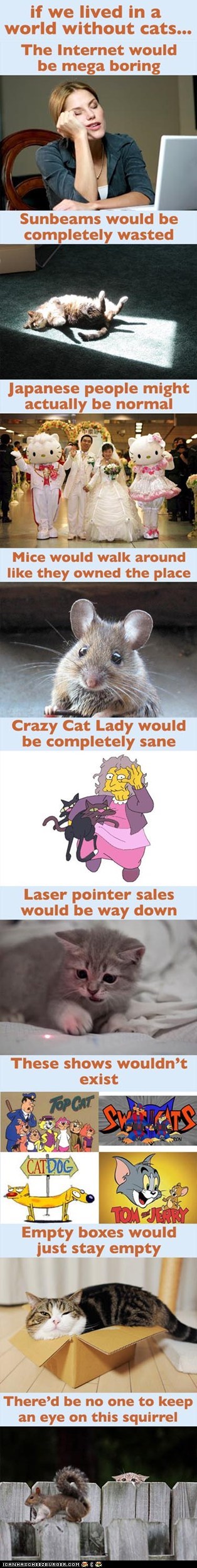 If We Lived in a World Without Cats...
