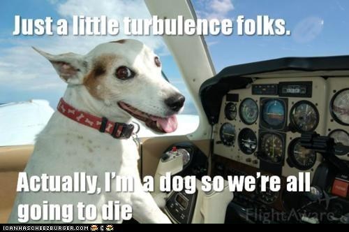 Memebase: Might Be a Ruff Landing