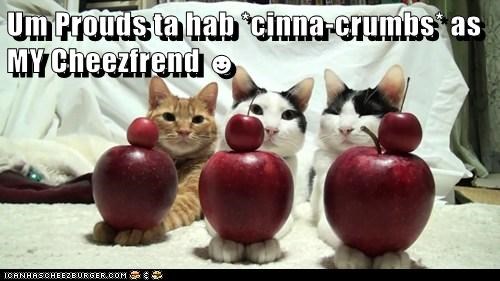 Um Prouds ta hab *cinna-crumbs* as MY Cheezfrend ☻