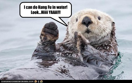 I can do Kung Fu in water! Look...Hiiii YAAA!!!