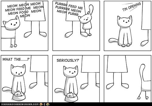Every.  Single.  Time.