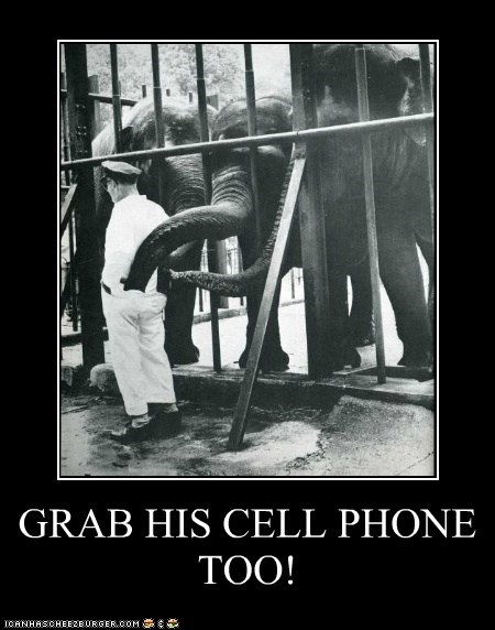 GRAB HIS CELL PHONE TOO!