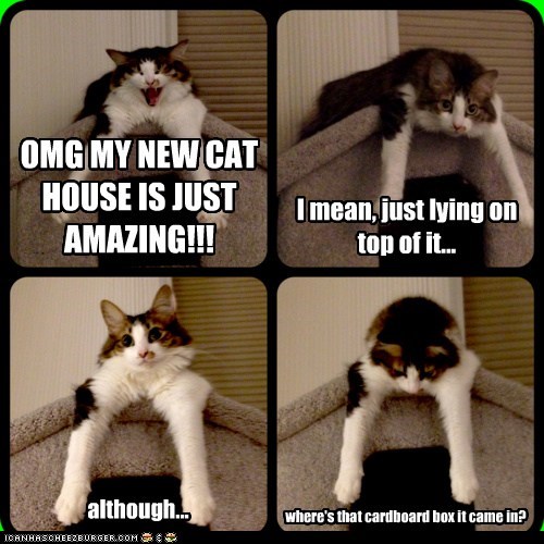 Lolcats: OMG MY NEW CAT HOUSE IS JUST AMAZING!!!