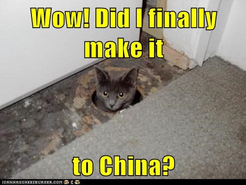 Wow! Did I finally make it  to China?