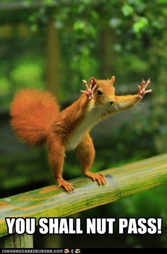 Gandalf the Red... Squirrel