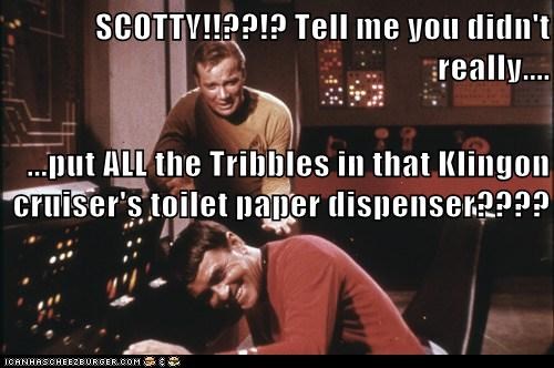 Brilliant Work, Scotty
