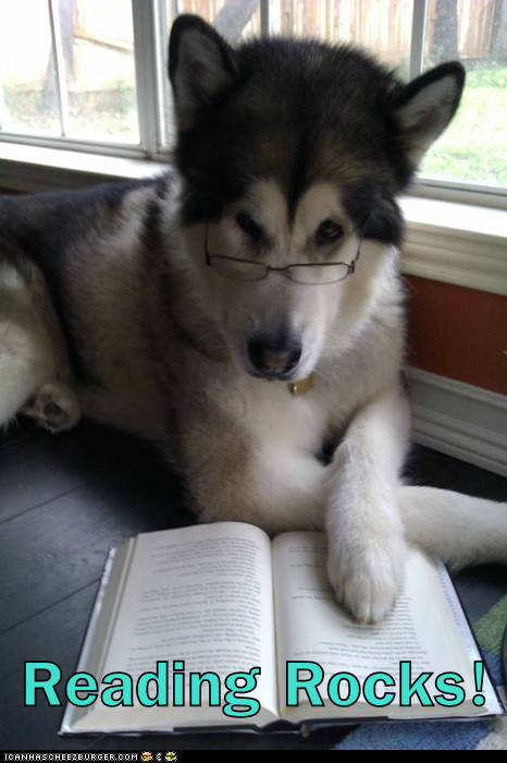 Reading Rocks!