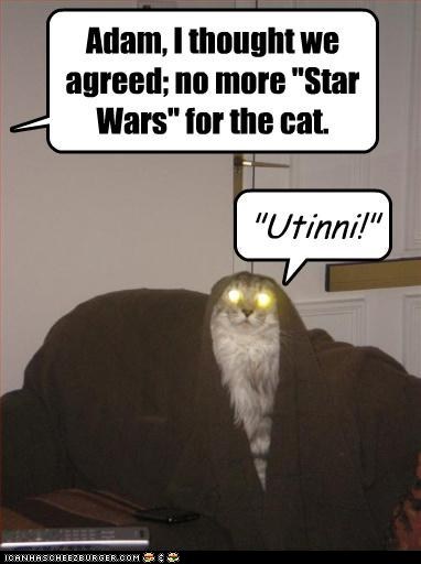 Lolcats: 'Star Wars' Day Classic: Jawa Cat!
