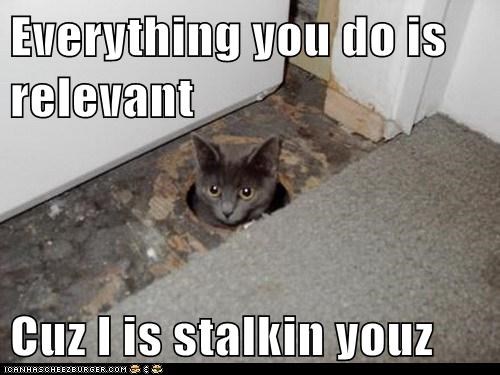 Everything you do is relevant  Cuz I is stalkin youz