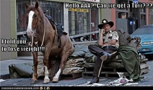 Hello AAA?  Can we get a Tow??? I told you                                                                                                   to lose weight!!!