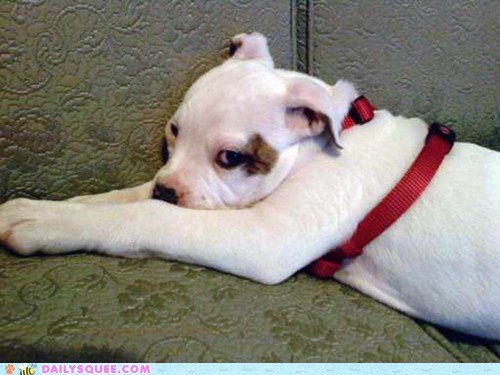Reader Squees: One Eye Open
