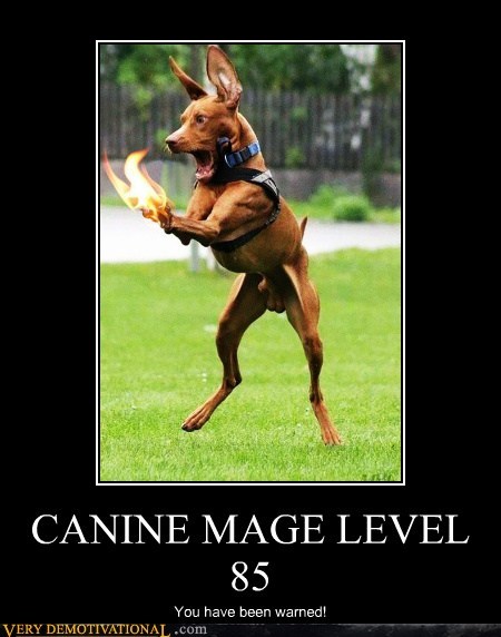 CANINE MAGE LEVEL 85