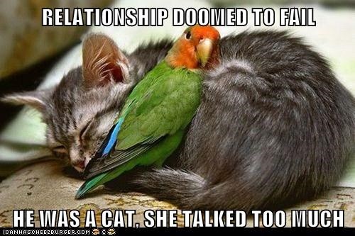 RELATIONSHIP DOOMED TO FAIL  HE WAS A CAT, SHE TALKED TOO MUCH