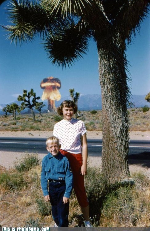 Literal Photobomb