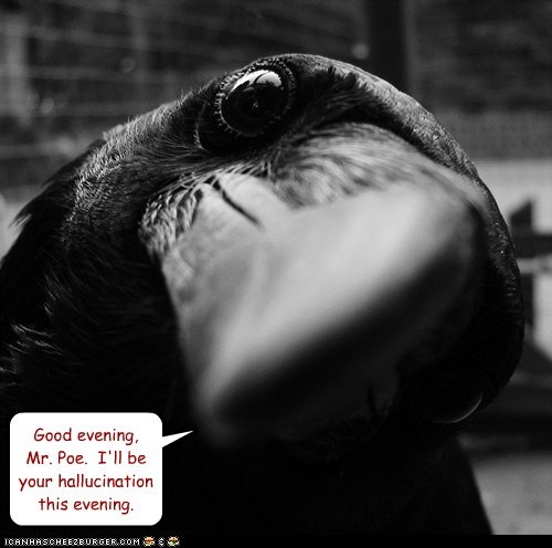 Good evening, Mr. Poe.  I'll be your hallucination this evening.