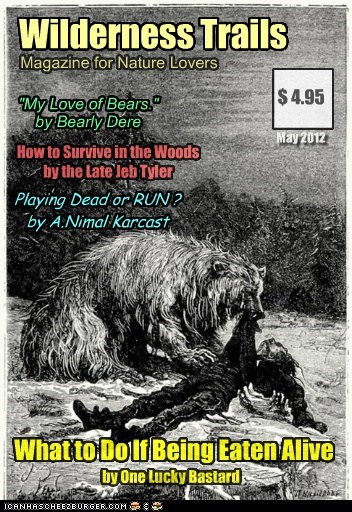 Only You Can Prevent Bear Starvation
