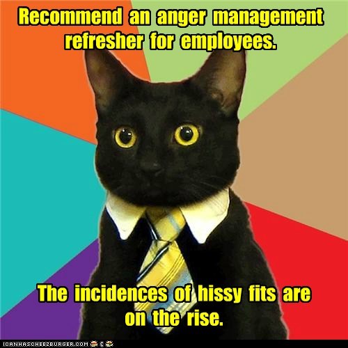 Animal Memes: Business Cat - Let's Address This Problem Before It Escalates to Shoe-Pooping