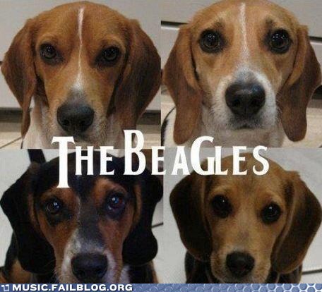 They Prefer Songs About Puppy Love