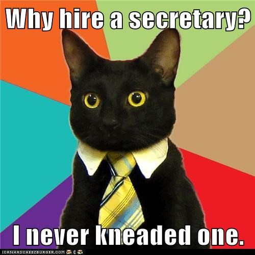 Animal Memes: Business Cat - HR Wouldn't Approve if You Did