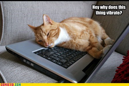 Keyboard Kat!!!