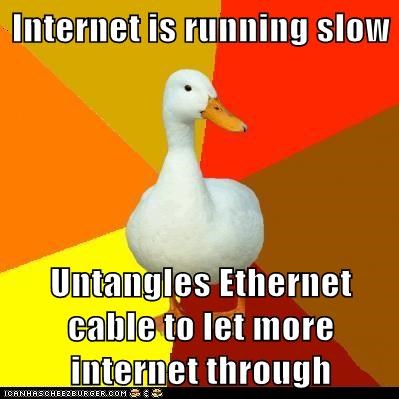 Animal Memes: Technologically Impaired Duck - The Tubes Are Clogged