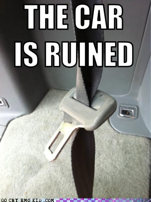 Go Cry Emo Kid: Safety is My Top Priority