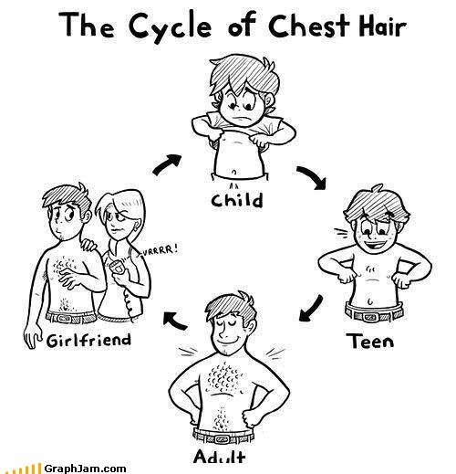 Cycle of Manliness