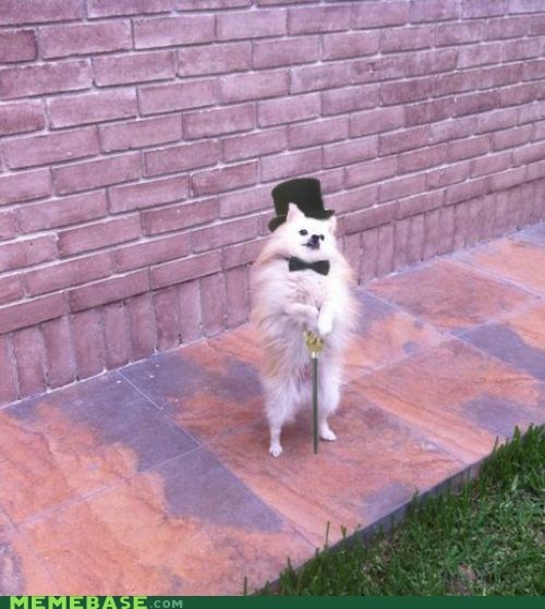 Like A Sir