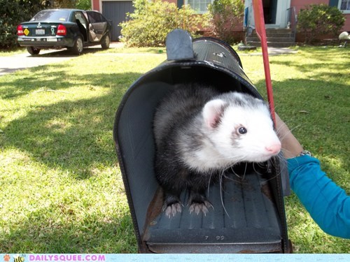 Special Delivery