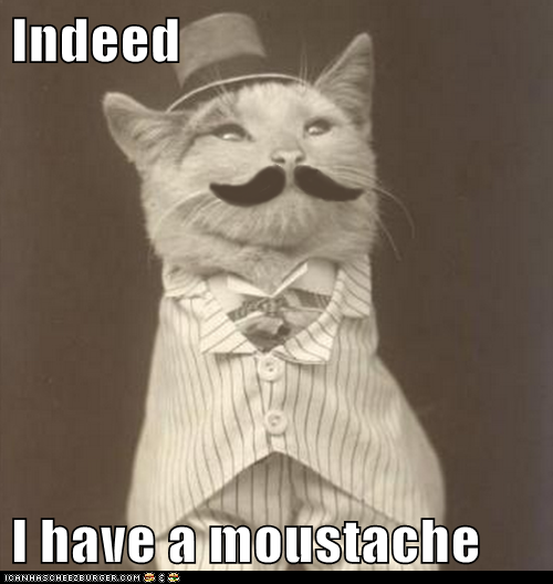Indeed   I have a moustache