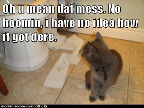Oh u mean dat mess. No hoomin, i have no idea how it got dere.