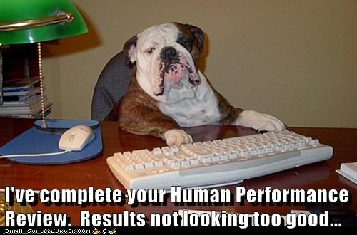 Human Performance Review