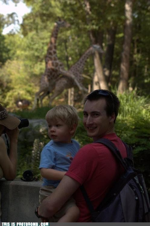 Photobomb Level: Giraffe