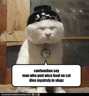 Classic LOLcat
