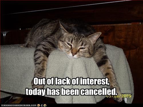 Classic LOLcat