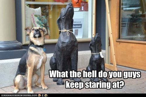 I Don't Get It...