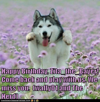 Happy Birthday, Zita_the_Bayer! Come back and play with us. We miss you.  (wally01 and The Herd)