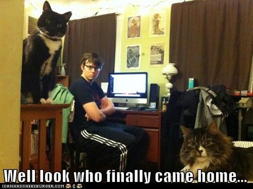 Lolcats: Well...