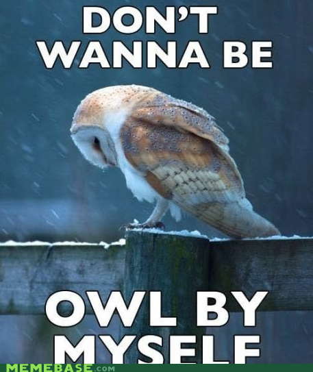 Hedwig's Theme Song