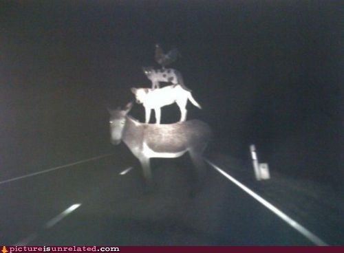 I Really Shouldn't Be Driving Anymore