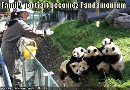 Family portrait becomez Pandamonium