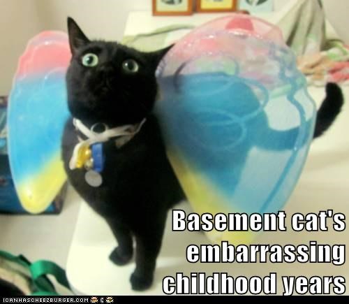 Basement cat's               embarrassing                         childhood years