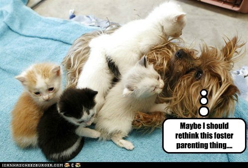 To Be or Not to Be...A Parent