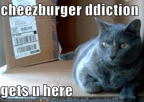 cheezburger ddiction  gets u here