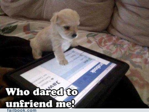 Now I Have to Spend the Next Half Hour Scrolling Through My Friends List