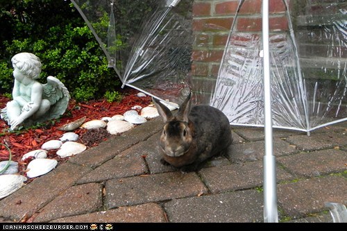 Out of the Rain