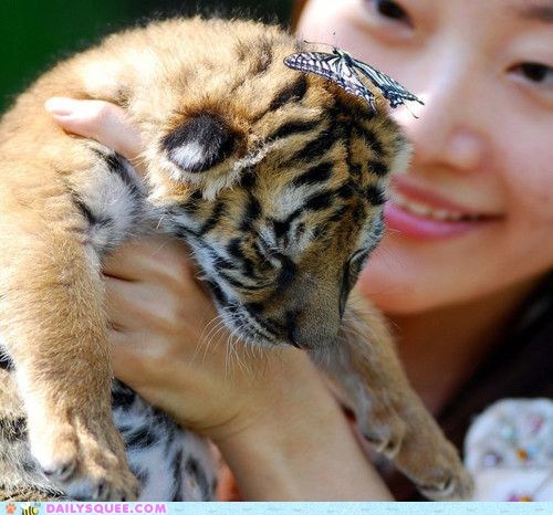 Daily Squee: Interspecies Love - What a Lovely Hat!